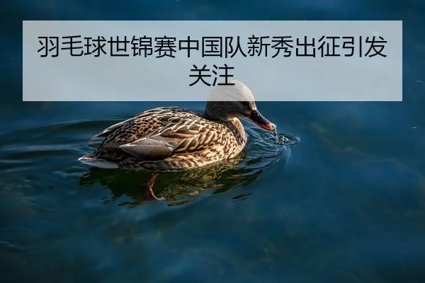 羽毛球世锦赛中国队新秀出征引发关注