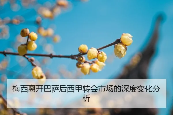mei-xi-li-kai-ba-sa-hou-xi-jia-zhuan-hui-shi-chang-de-shen-du-bian-hua-fen-xi-2-160.jpg