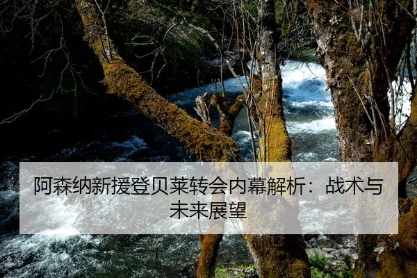 阿森纳新援登贝莱转会内幕解析：战术与未来展望