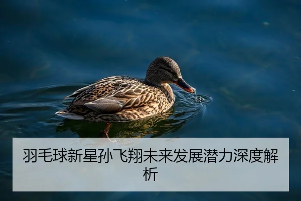 羽毛球新星孙飞翔未来发展潜力深度解析