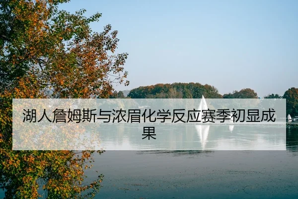 湖人詹姆斯与浓眉化学反应赛季初显成果